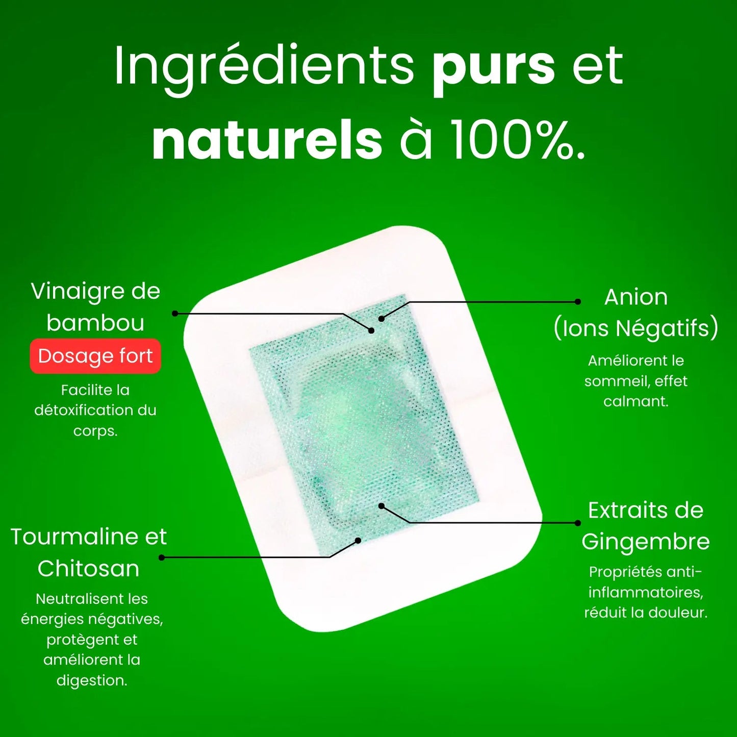 Ecolite®  ||  Patchs détox